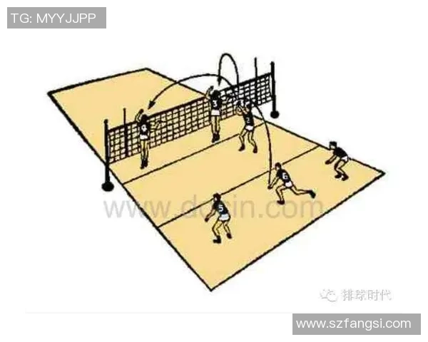 成都排球队节奏对比深度解析与战术探讨